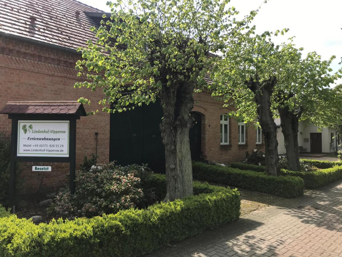 Lindenhof Wohnung 2, Erdgeschoss Vipperow 外观 照片
